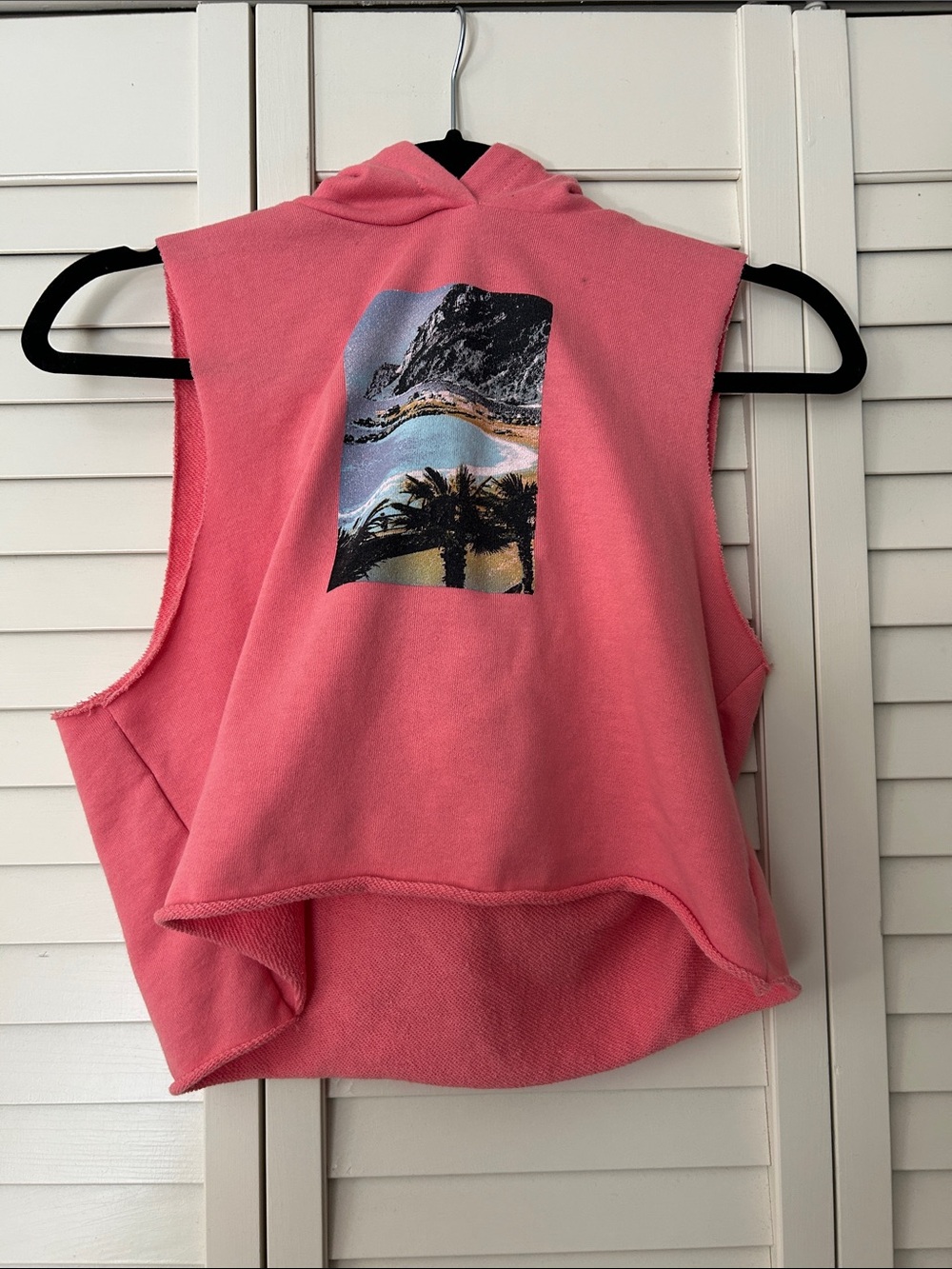 Forever 21 Pink Sleeveless Hoodie Sleeveless Crop Top with Beach Graphic Size M